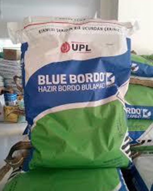 BLUE BORDO DİSPERS 10KG