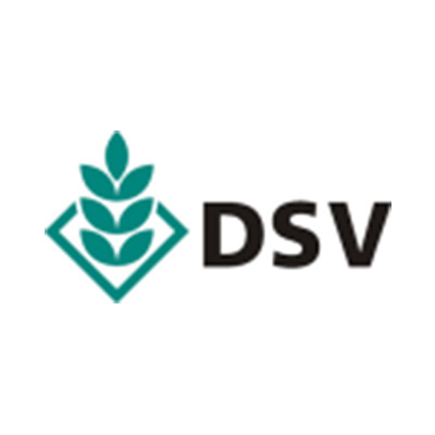 dsv logo