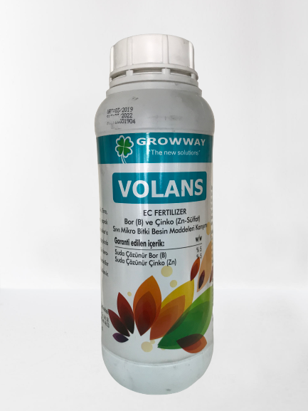 volans removebg preview volans removebg preview