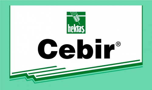 cebir